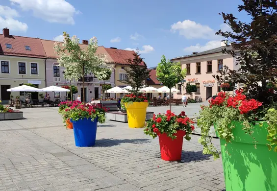 W Żywcu wycięli drzewa, wylali beton i postawili donice. Burmistrz: Tu mieszkańcy znajdą cień 