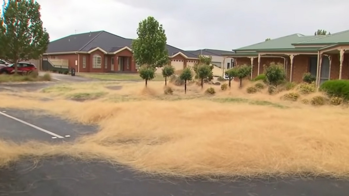 Australia: Natura pokazała swoją siłę. Niesamowity widok w Melbourne