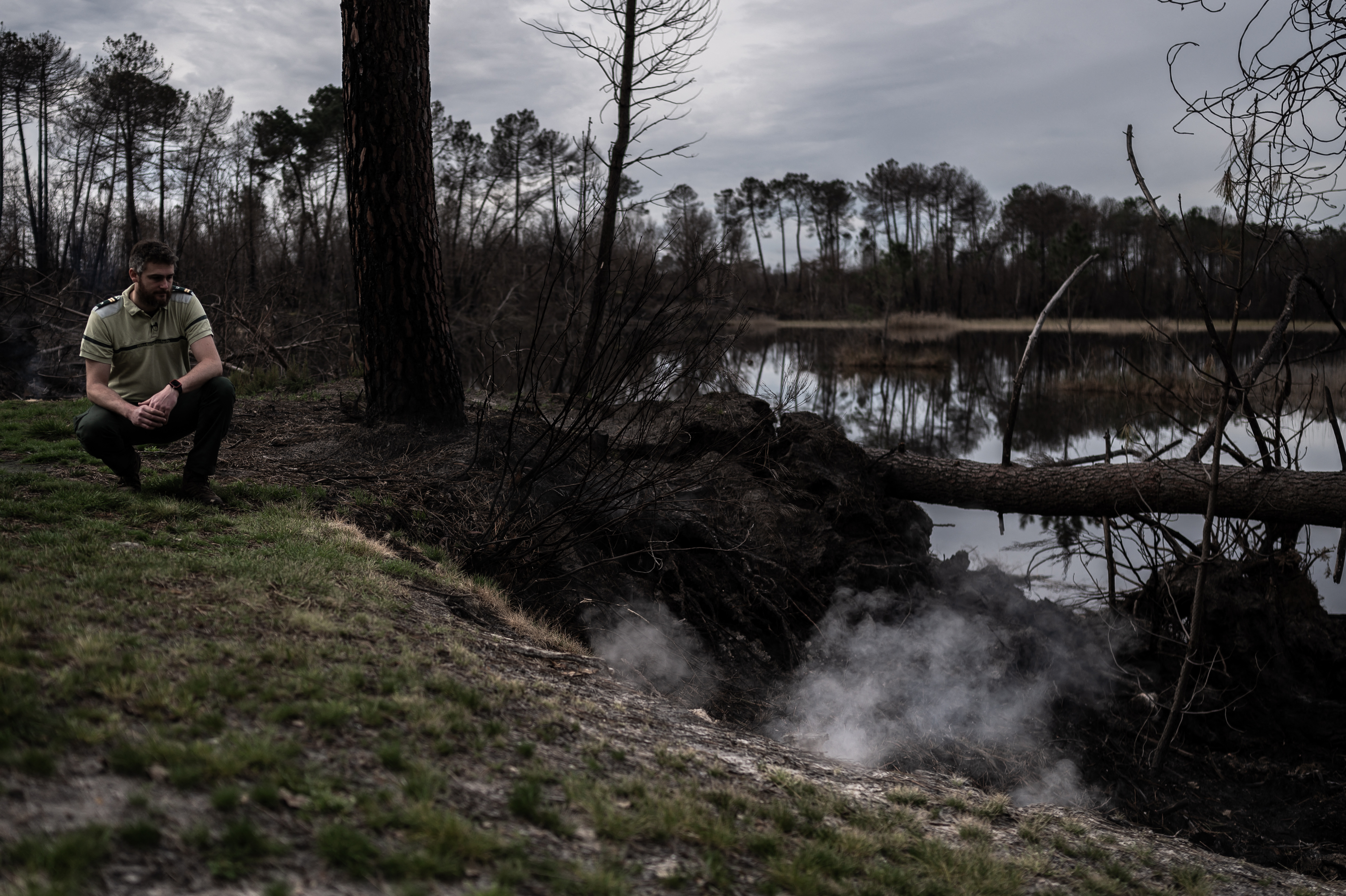 Foreste UE assorbono 27% meno CO2: obiettivi climatici a rischio