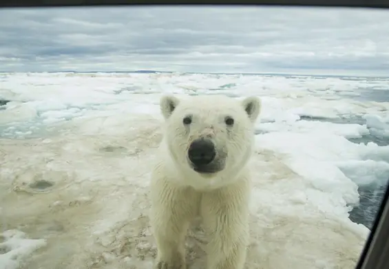 Ochrona klimatu? Zmniejszenie nierówności? Młodzi dziennikarze z Europy o tym, co powinno się zmienić w świecie