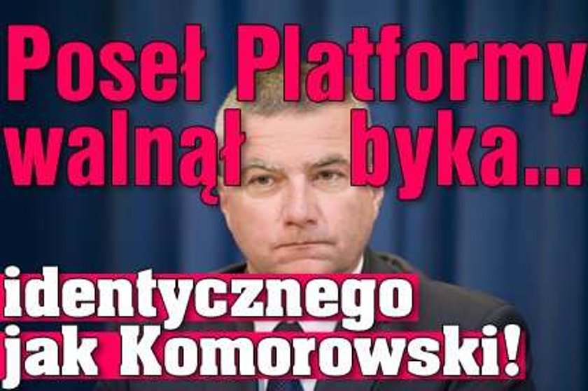 Byk posła PO. Taki sam jak Komorowskiego