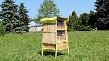 W Parku Śląskim postawiono hotel dla ... pszczół