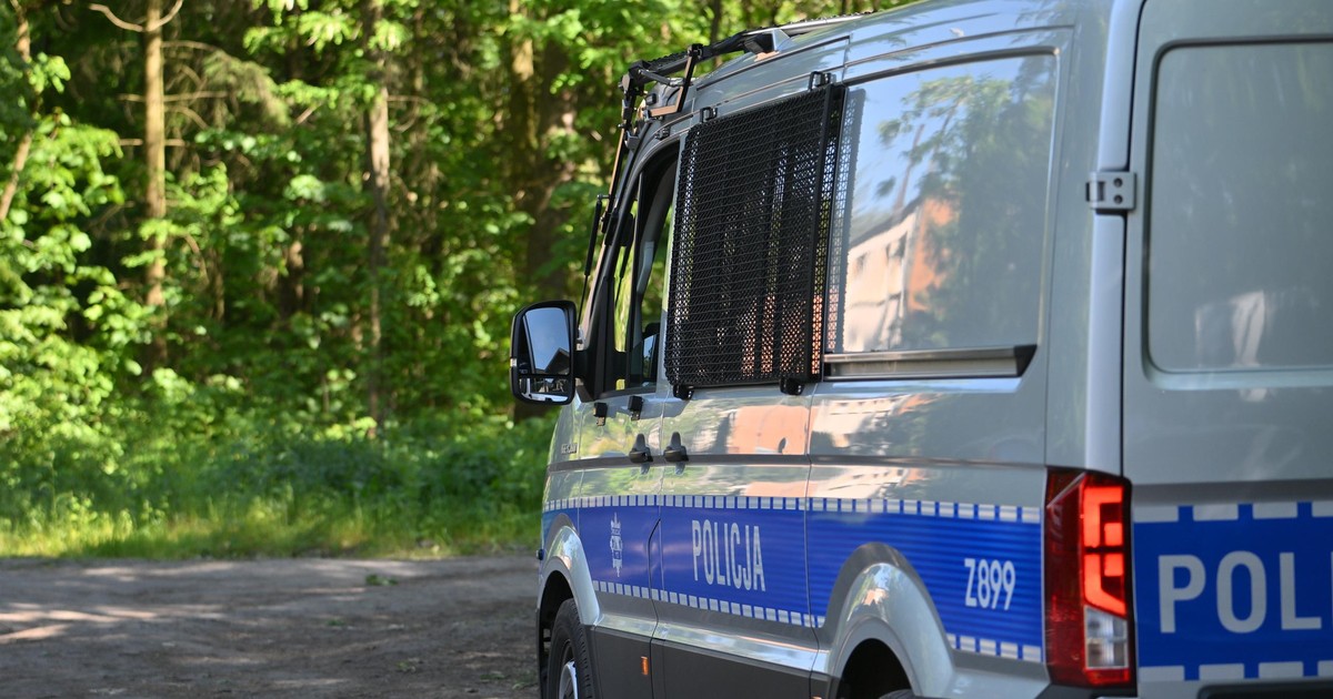 Na ten widok grzybiarz aż zamarł. Wstrząsające odkrycie