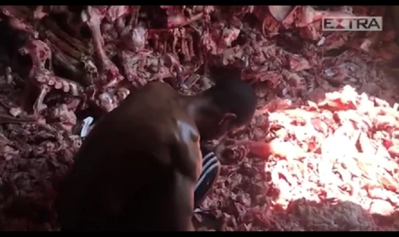 Kriza gladi u Brazilu - ljudi kopaju po životinjskim ostacima