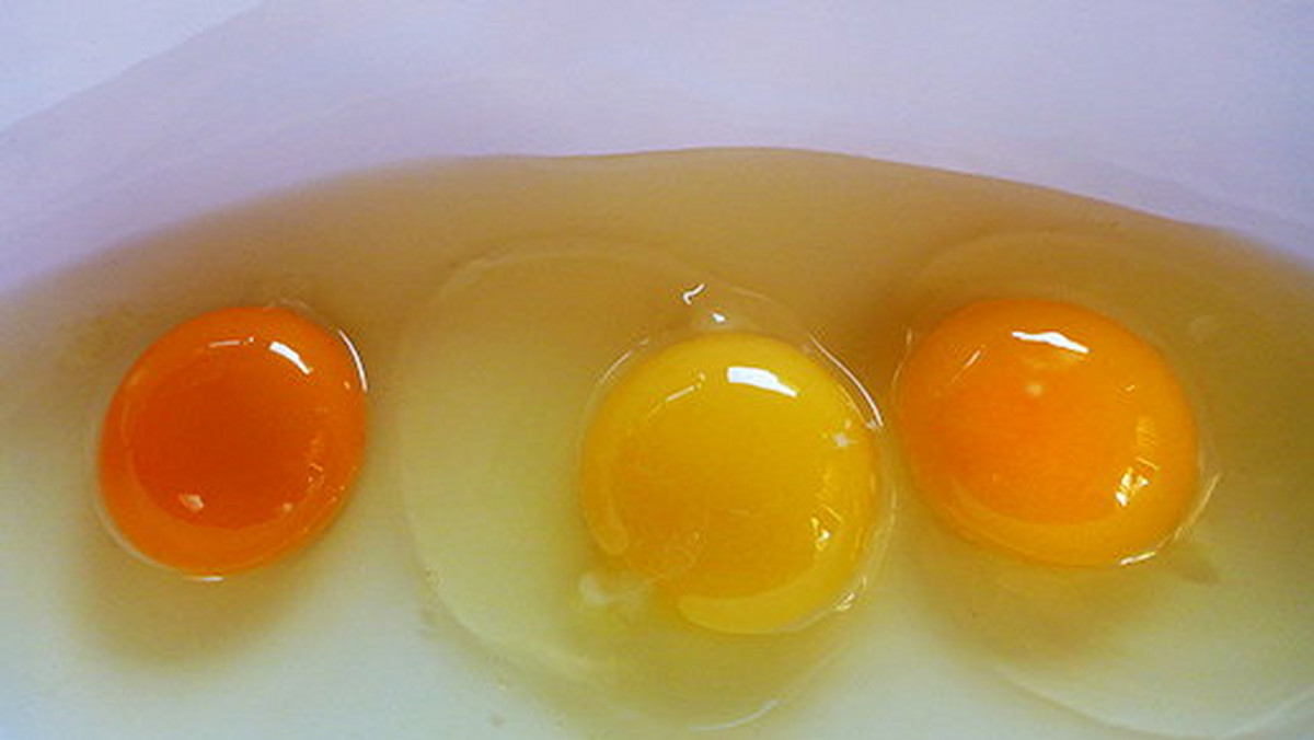 Które jajko jest najzdrowsze? Mówi o tym kolor żółtka