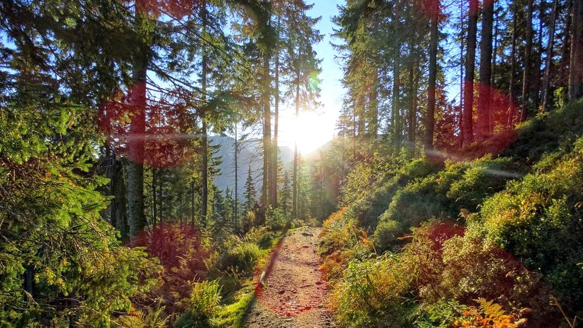 Tatry jesiennie, szlak z Bobrowieckiej Przełęczy na Grzesia