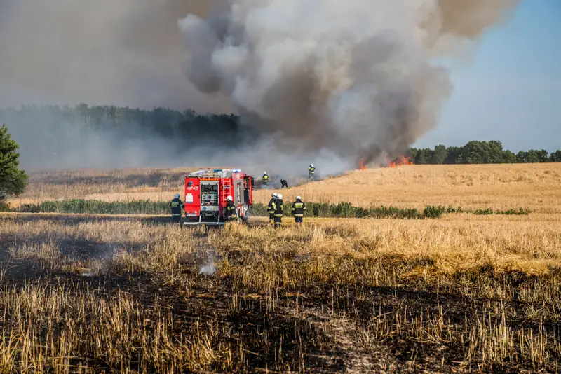 Pożar wysuszonego pola