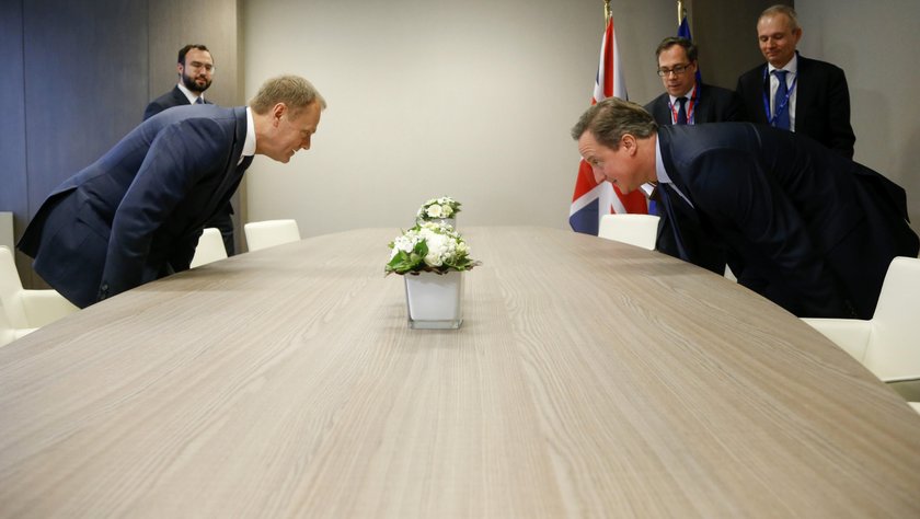 Donald Tusk i David Cameron