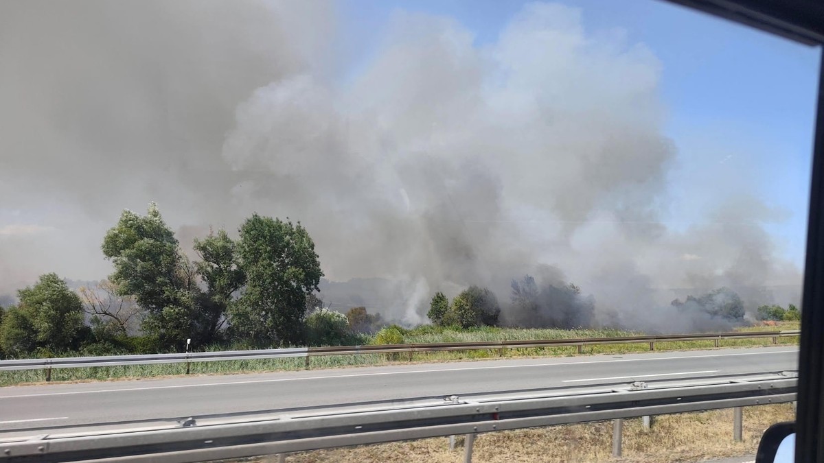 Požar pored auto-puta kod Umčara