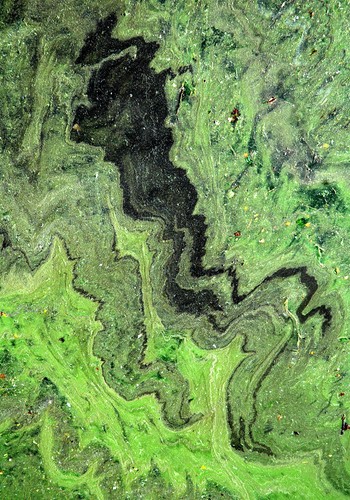 fot. Elżbieta Dzikowska