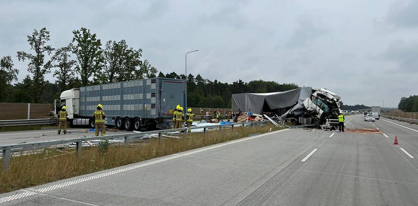Wypadek ciężarówek na A1. Droga w kierunku Gdańska kompletnie zablokowana