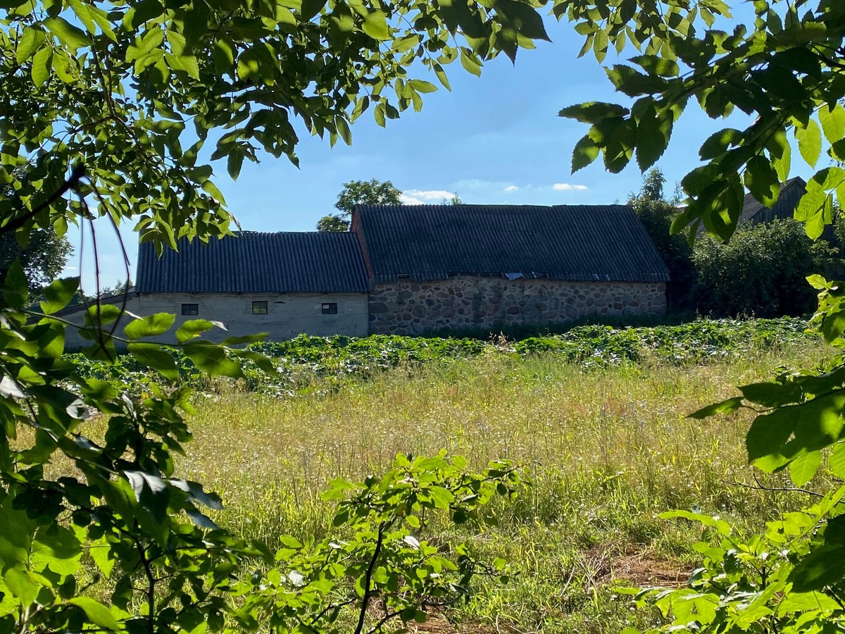 Zgłoszenie azbestu do gminy 2026 - wniosek obowiązkowy do 31 stycznia