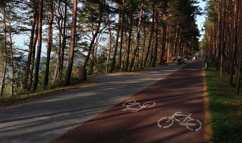 Krynica Morska oraz jej okolice. Ścieżki i trasy rowerowe