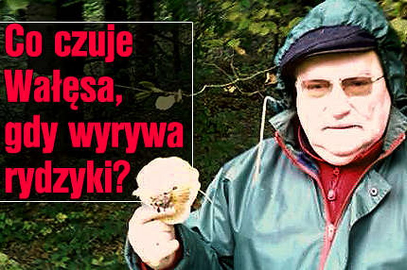 Co czuje Wałęsa, wyrywając rydzyki?