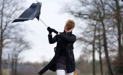 Bardzo silny wiatr w całej Polsce. OSTRZEŻENIE RCB