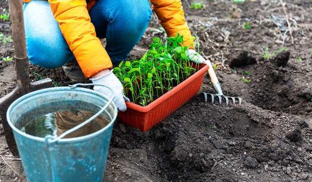Bol u leđima od rada u bašti može da se spreči