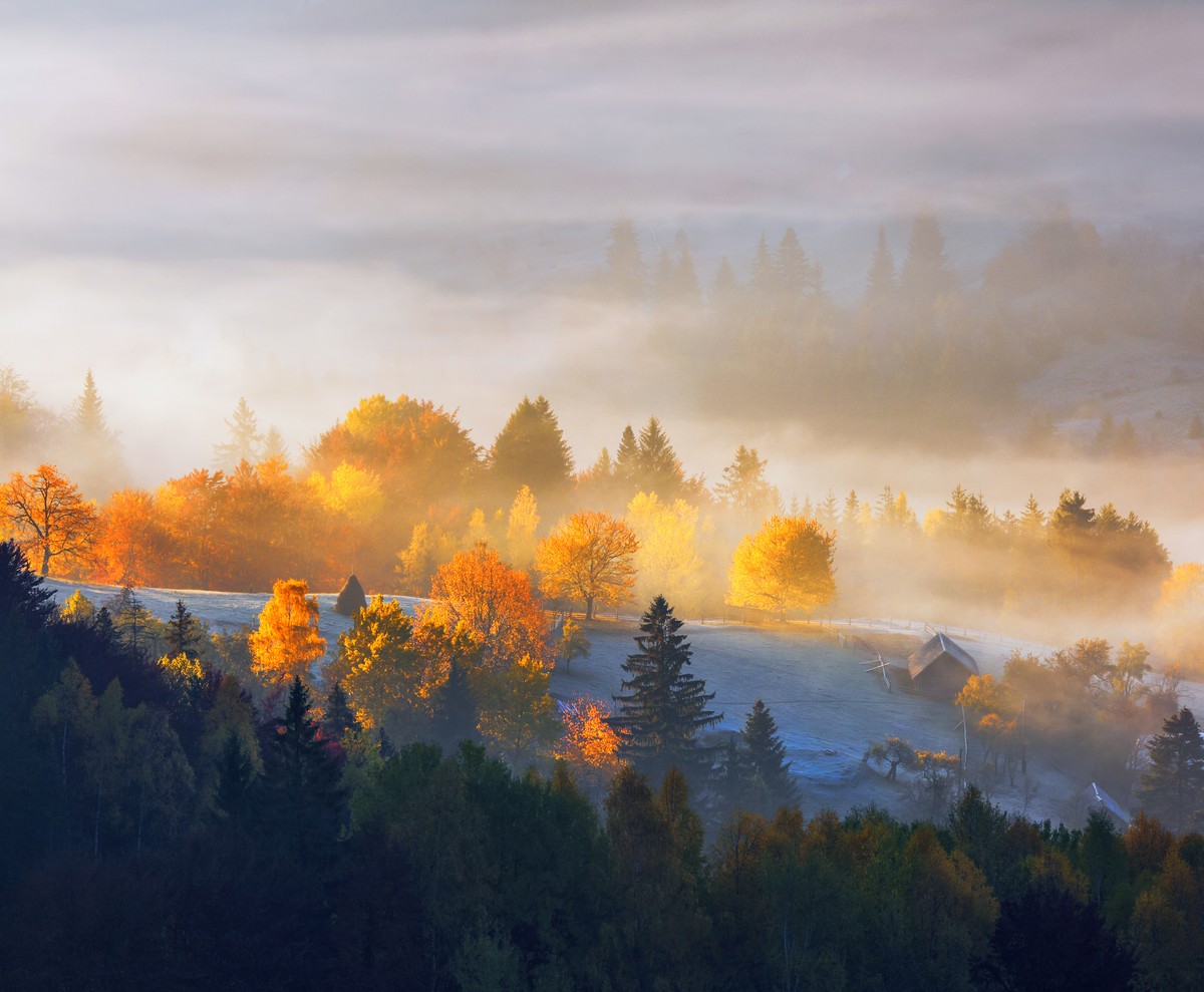 Rekordowe temperatury. WMO ogłasza czerwony alert – meteorolodzy biją na alarm