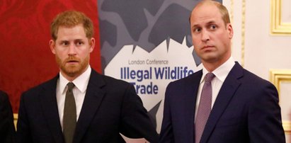 Na tę chwilę czekano od dawna! William i Harry wygłoszą wspólne przemówienie