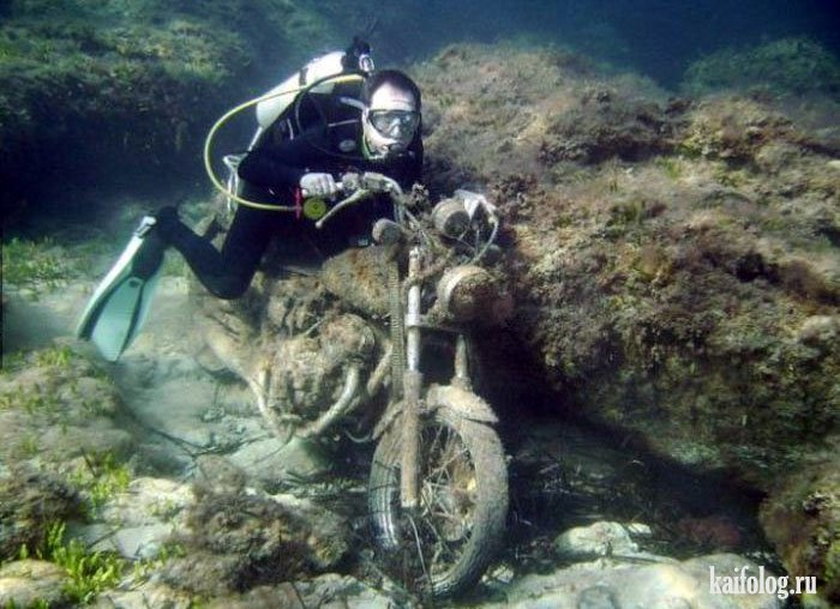 Szaleni motocykliści