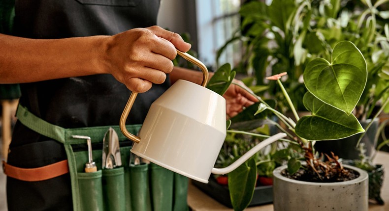 Let the employees take care of the plants in a nursery. Harbucks/Shutterstock