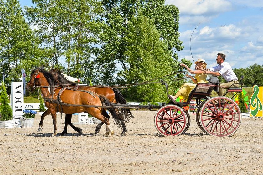 Plejada gwiazd na Gałkowo Masters 2019