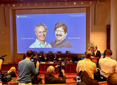 A magyar immunológus elmondta, miért is fontos a Nobel-díjjal jutalmazott felfedezés