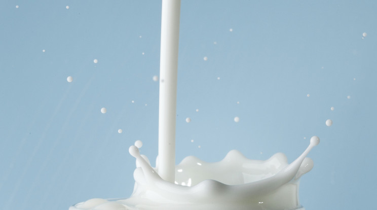 Valaki szándékosan szennyezi a tejet /Fotó: Northfoto