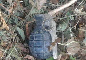 662531_kraljevo-03--pronaena-kaikara--foto-n.-boovi