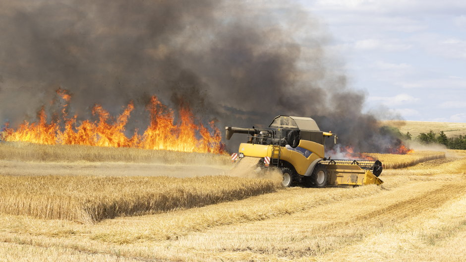 Susze i pożary zagrażają rolnikom bardziej niż Zielony Ład