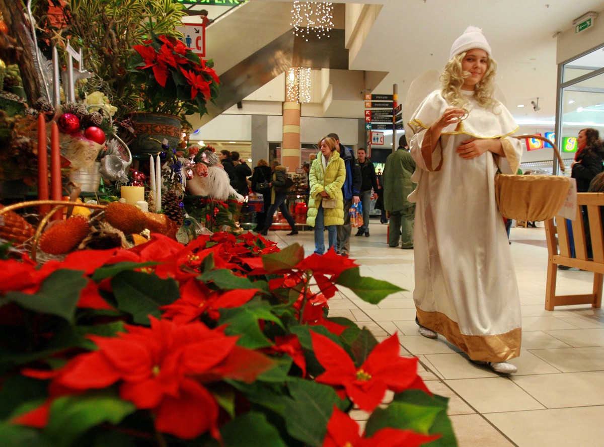 21.12.2006 Warszawa

Galeria Mokotow Przed Swietami Bozego Narodzenia nz aniol dziewczyna z oplatkami 

Fot. Wojciech Grzedzinski