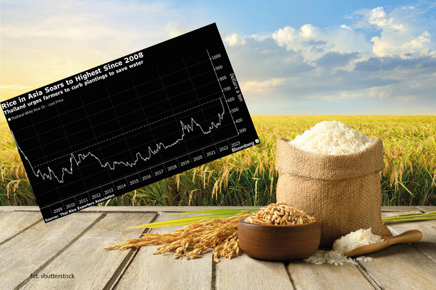 Cena ryżu
