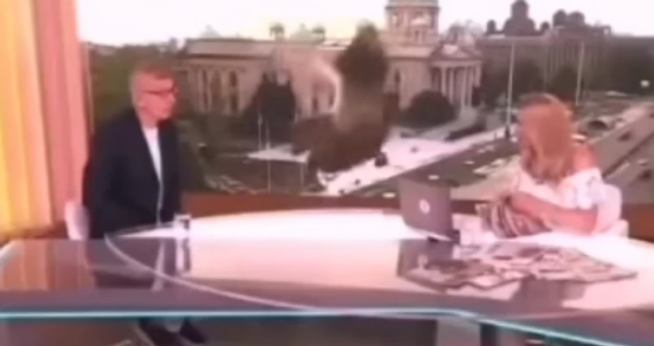 Bojana Ristivojević i situacija sa golubom