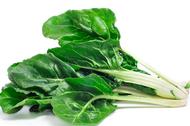 Isolated image of bright green chard