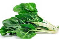 Isolated image of bright green chard