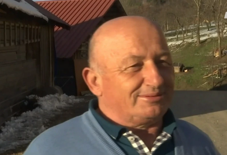 Porodica Bogdanović