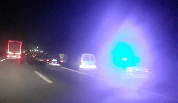 Divlje svinje napravile haos na autoputu Banjaluka - Gradiška