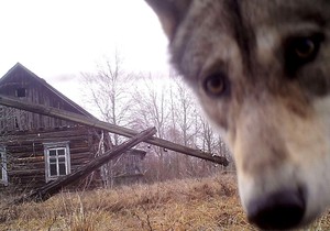 BBC | Foto: Vasily Fedosenko/Reuters