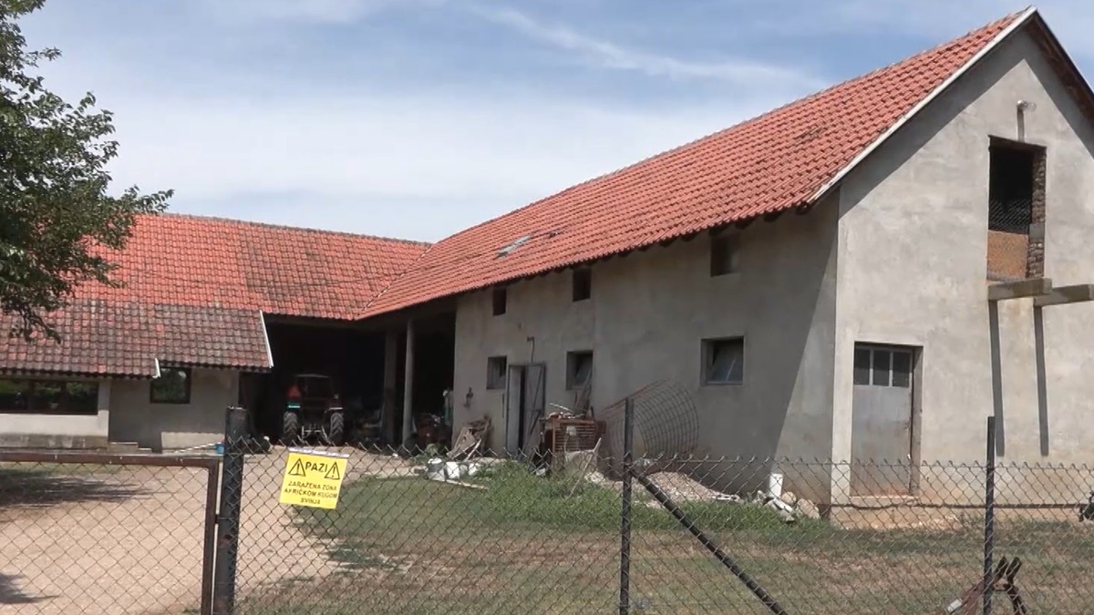 Afrička kuga svinja u selima kod Obrenovca