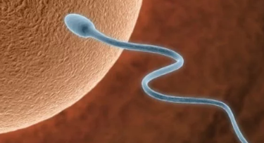 8 sperm-killing foods that dads need to avoid!