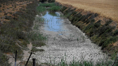 Wojna o wodę. Tak w Hiszpanii zbija się kapitał wyborczy na suszy