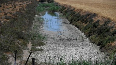 Wojna o wodę. Tak w Hiszpanii zbija się kapitał wyborczy na suszy