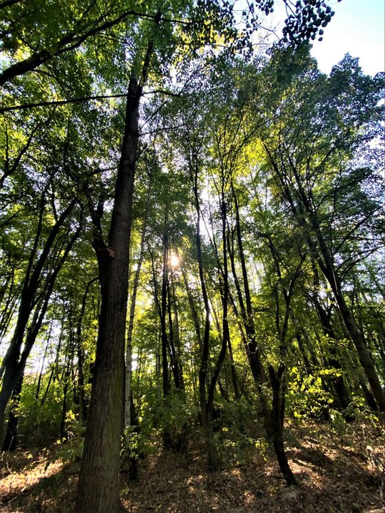 W Krakowie powstanie nowy park! To Park Rzeczny Tetmajera