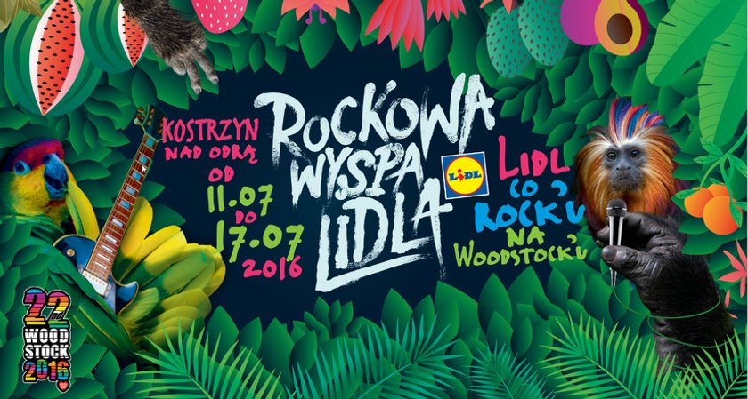 Lidl Rock Shop