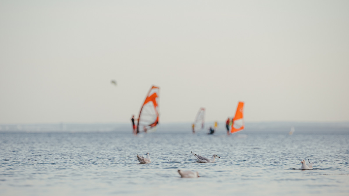 Salt Wave Festival. Informacje o festiwalu. Kto wystąpi?