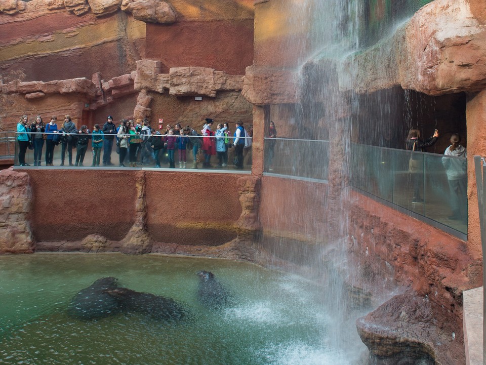 Atrakcje we Wrocławiu: Ogród Zoologiczny 