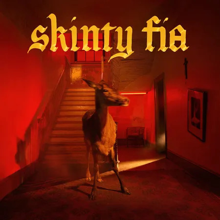 Fontaines D.C. – "Skinty Fia"