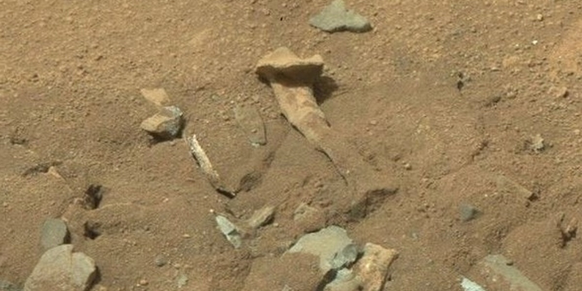 NASA odkryła kości Marsjan.