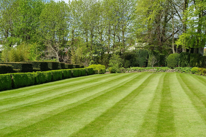 trawa trawnik dom ogród nawożenie pielęgnacja trawnika Scenic,View,Of,A,Beautiful,English,Style,Landscape,Garden,With