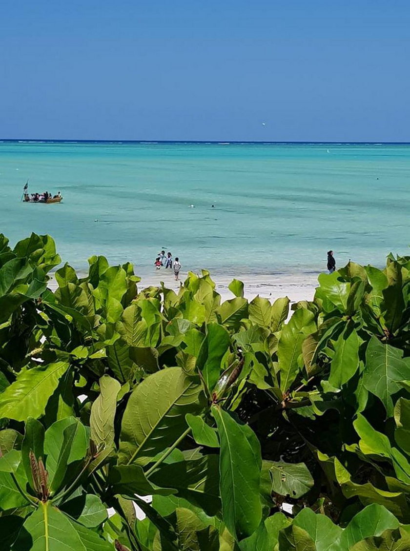 Dziennikarka Katarzyna Werner wyjeżdża na Zanzibar. Będzie prowadzić hotel