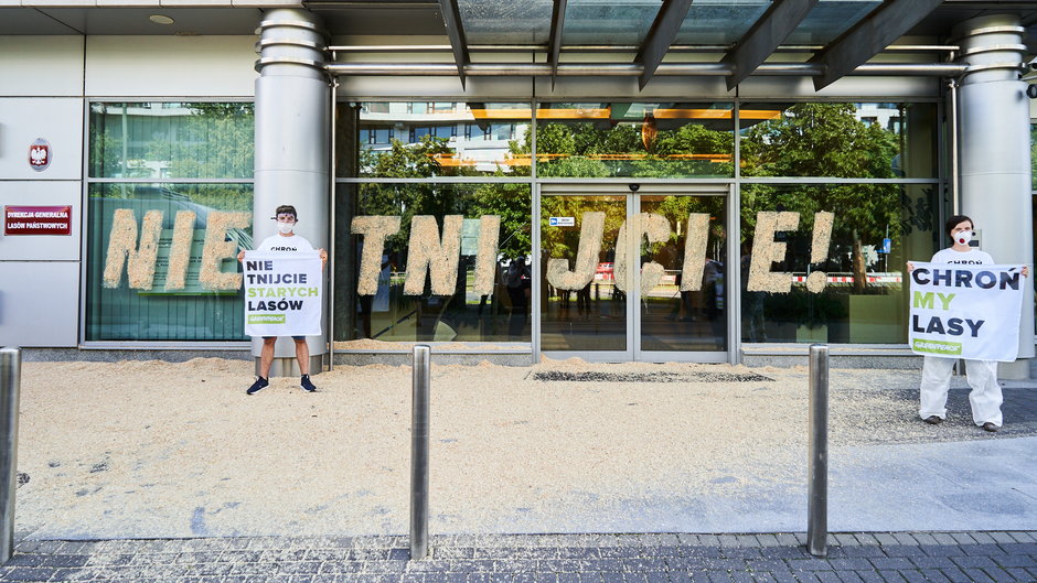 Akcja Greenpeace przed siedzibą dyrekcji Lasów Państwowych w Warszawie